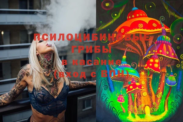 а пвп мука Алзамай